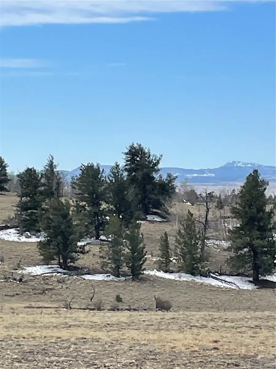148 Grand Teton Drive, Hartsel, CO 80449 - #1