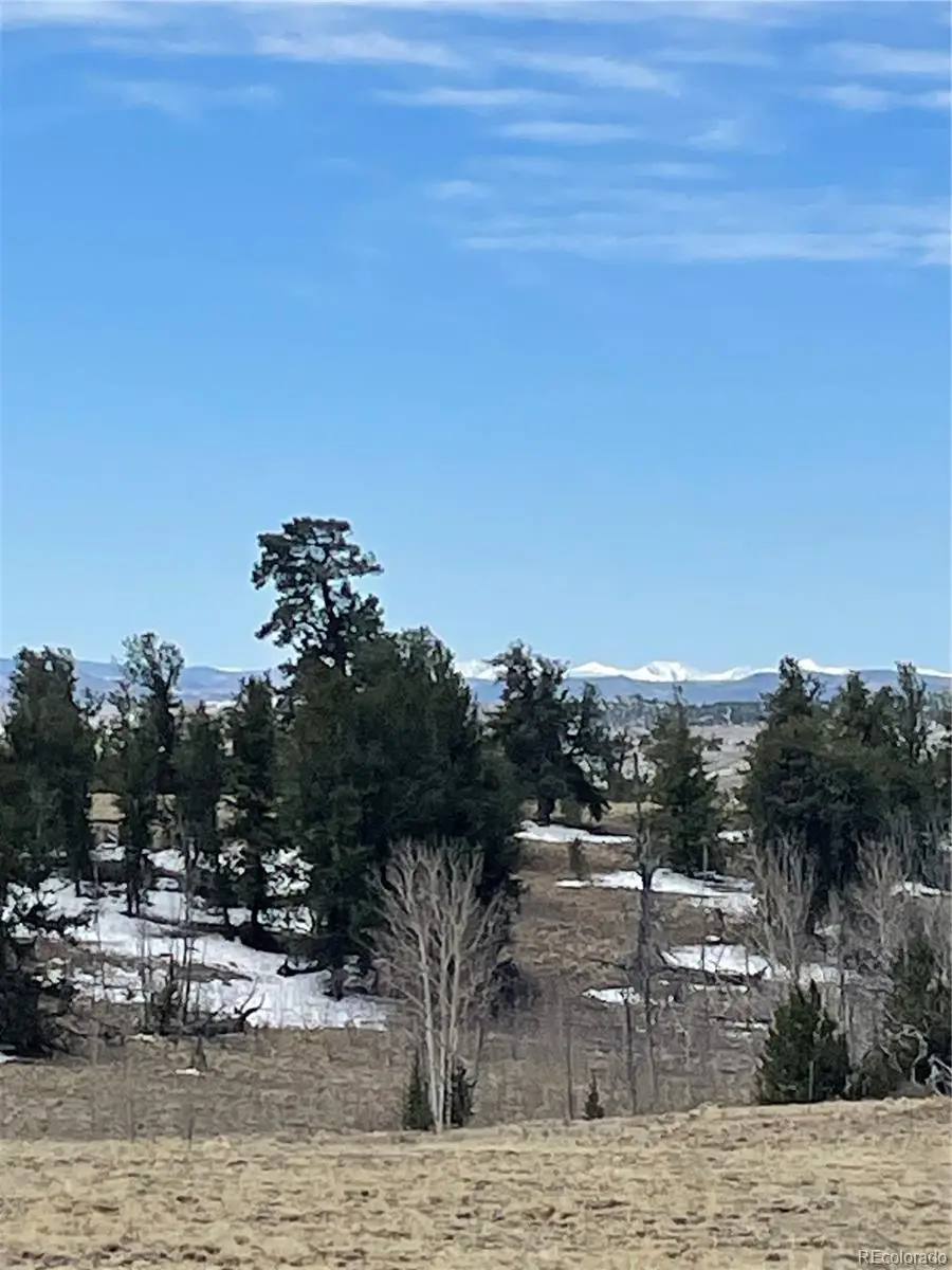 148 Grand Teton Drive, Hartsel, CO 80449 - #2