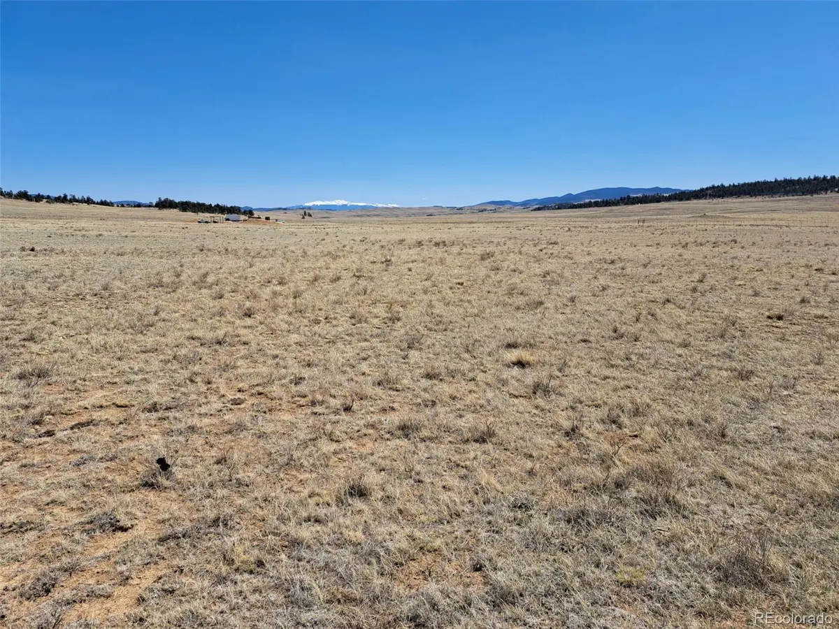 00 Chickasaw Road, Hartsel, CO 80449 - #1