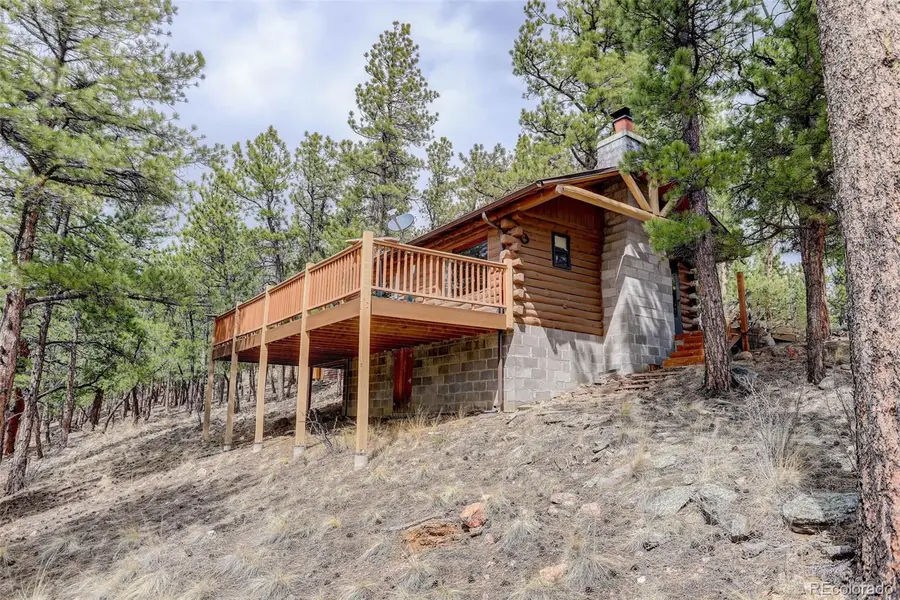 307 Virginia Road, Bailey, CO 80421 - #3