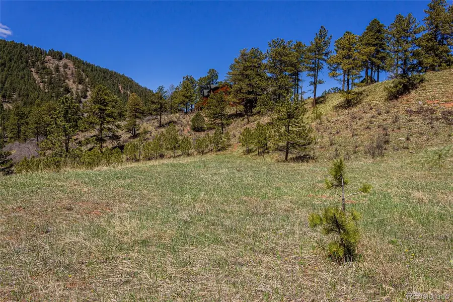 2721 Mountain Glen Court, Woodland Park, CO 80863 - Image #3