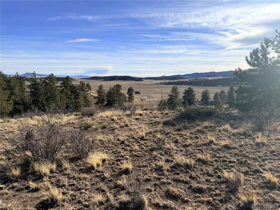 729 Bridle Path, Hartsel, CO 80449 - #3