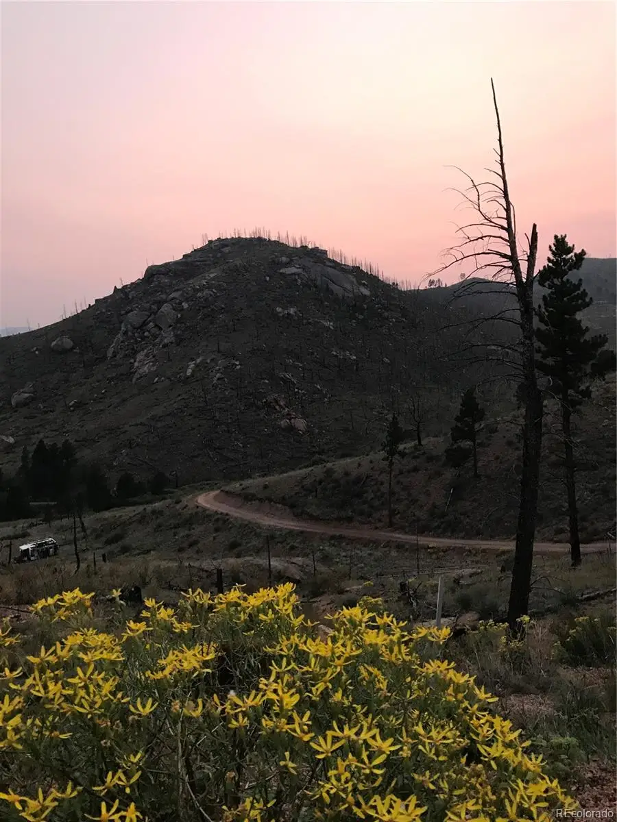 16280 Cochise Trail, Pine, CO 80470 - #3