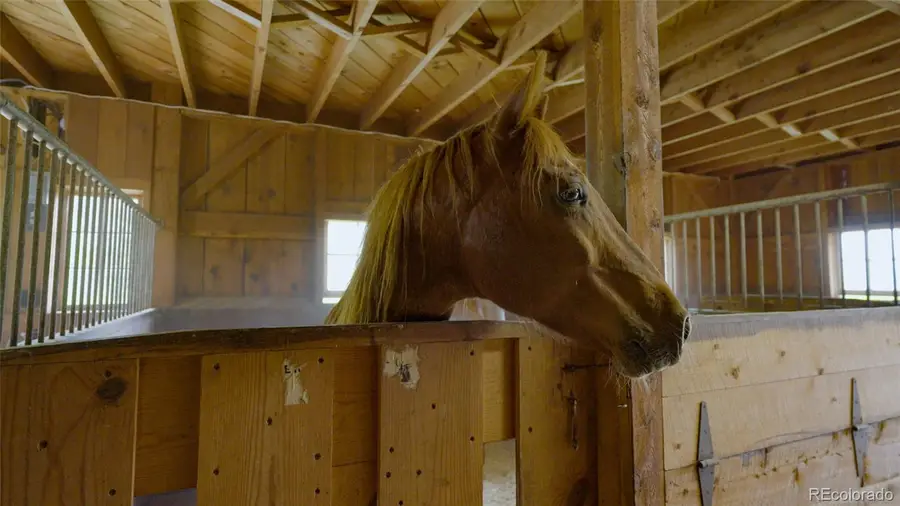 950 Corral Creek Road, Evergreen, CO 80439 - Image #3