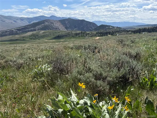 Spring Creek Ranch Road, Silverthorne, CO 80498