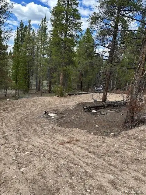 123 Lodgepole Drive, Leadville, CO 80461 - #1