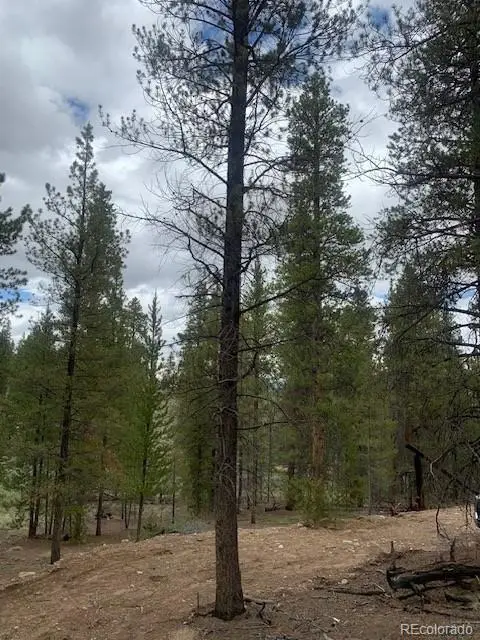 123 Lodgepole Drive, Leadville, CO 80461 - #2