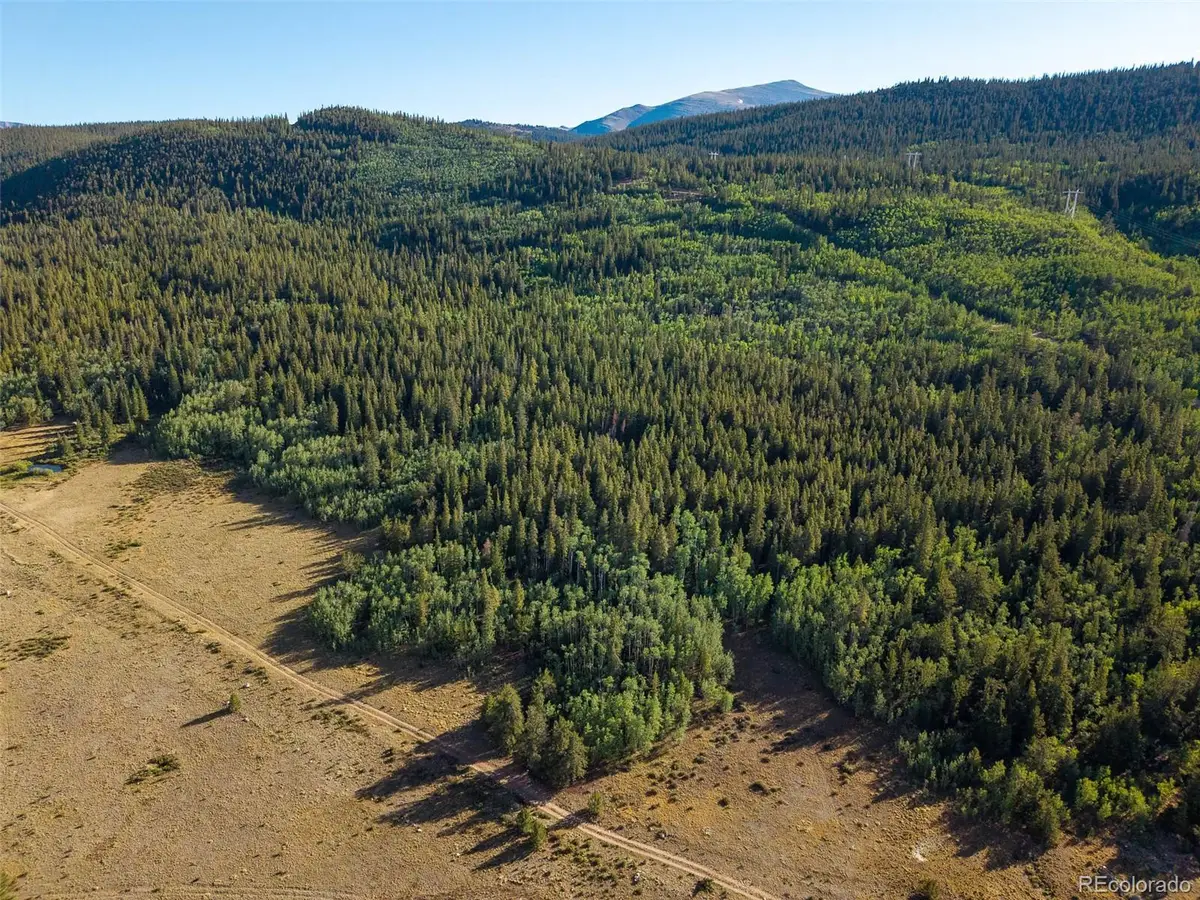 Lot 1 Snow Cap Peaks Road, Alma, CO 80440 - #1
