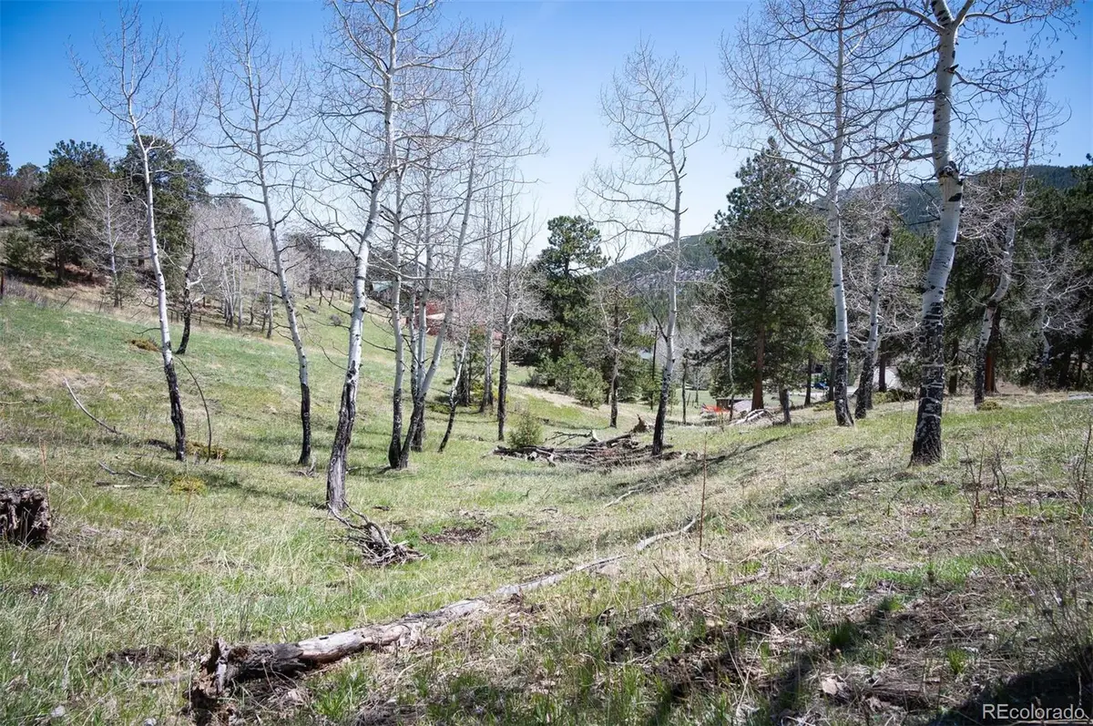 Tbd Pine Valley Road, Evergreen, CO 80439 - Image #1