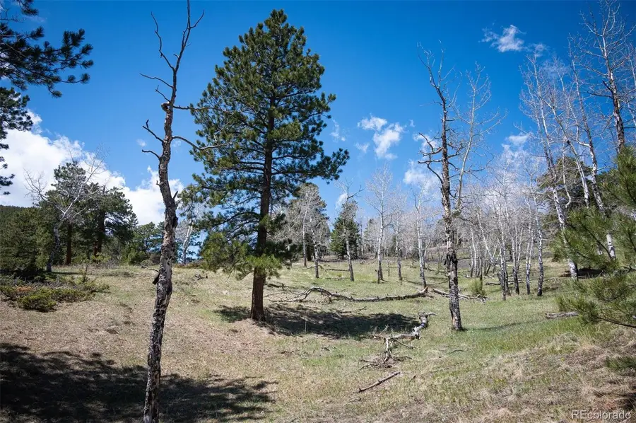 Tbd Pine Valley Road, Evergreen, CO 80439 - Image #2