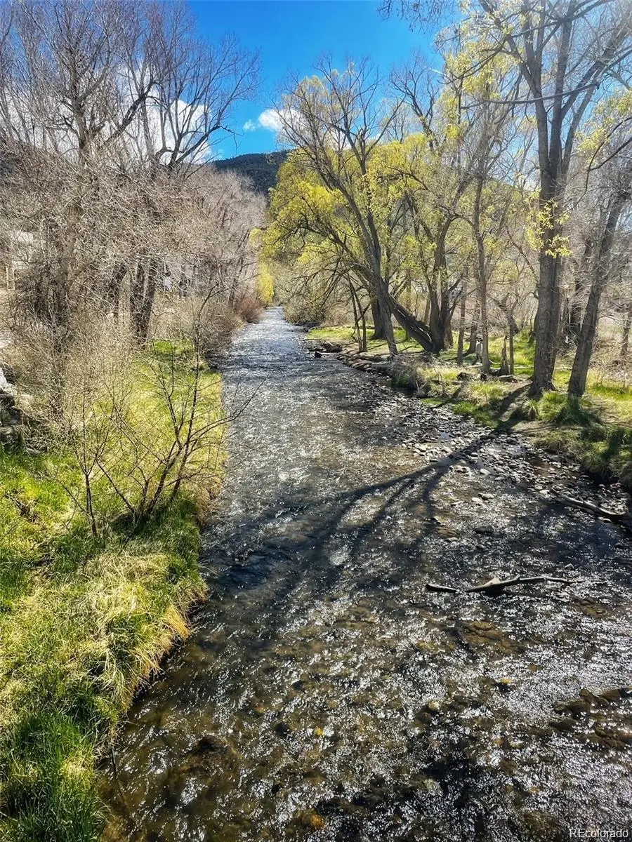 111 Southside Loop, Salida, CO 81201 - #3