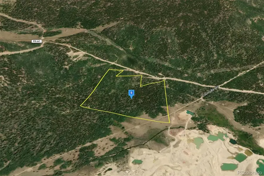 111 Snow Cap Peaks Route, Alma, CO 80420 - #2