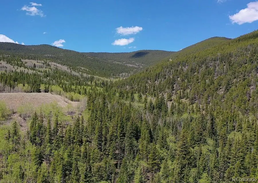 000 Forest Service, Idaho Springs, CO 80425 - Image #3