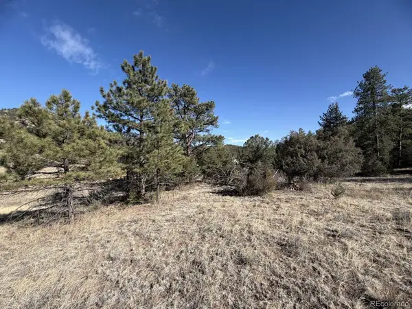 000 Canyon Road, Cotopaxi, CO 81223