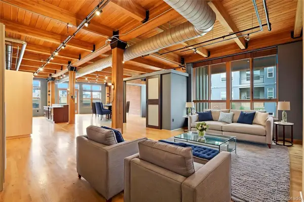 2955 Inca Street #3A, Denver, CO 80202