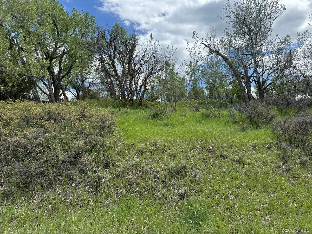 W Ryus, La Veta, CO 81055 - #1