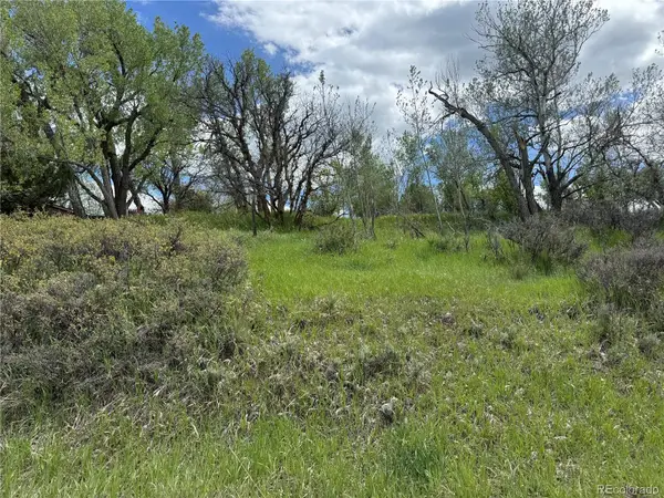 W Ryus, La Veta, CO 81055