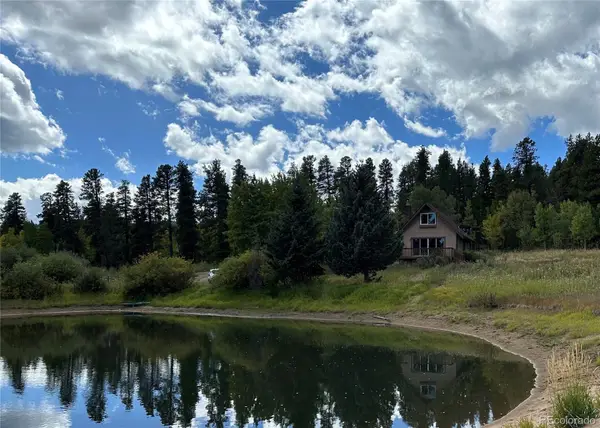 2774 Upper Apex Road, Central City, CO 80427