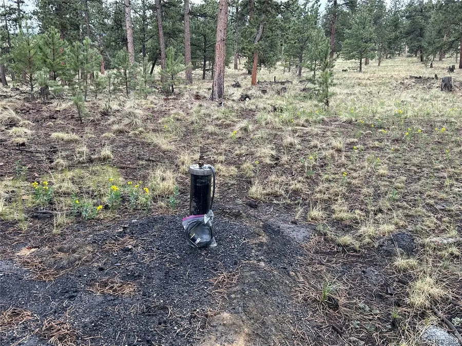 120 Harness Way, Hartsel, CO 80449 - Image #3