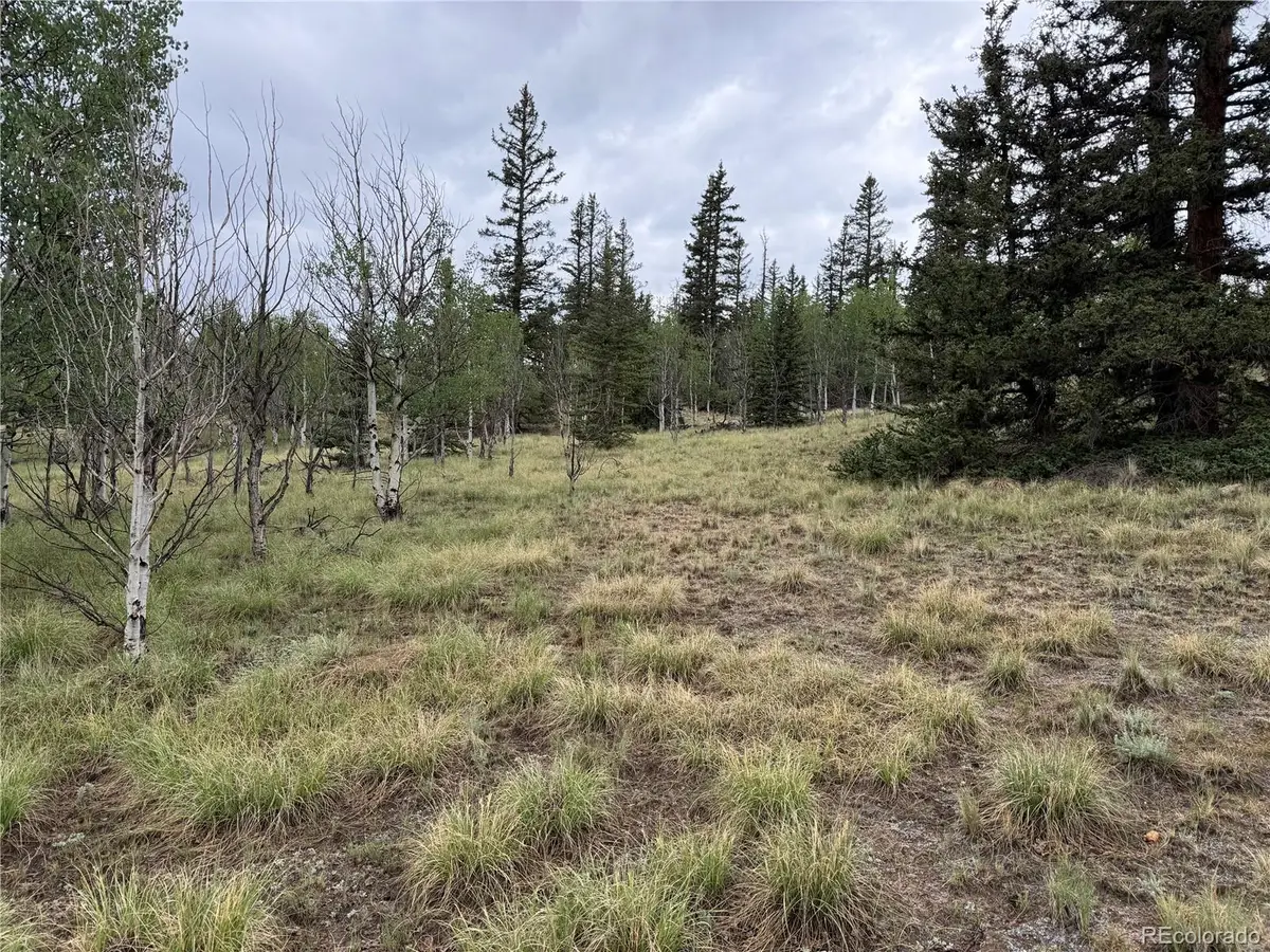 383 Spearpoint, Como, CO 80456 - #1