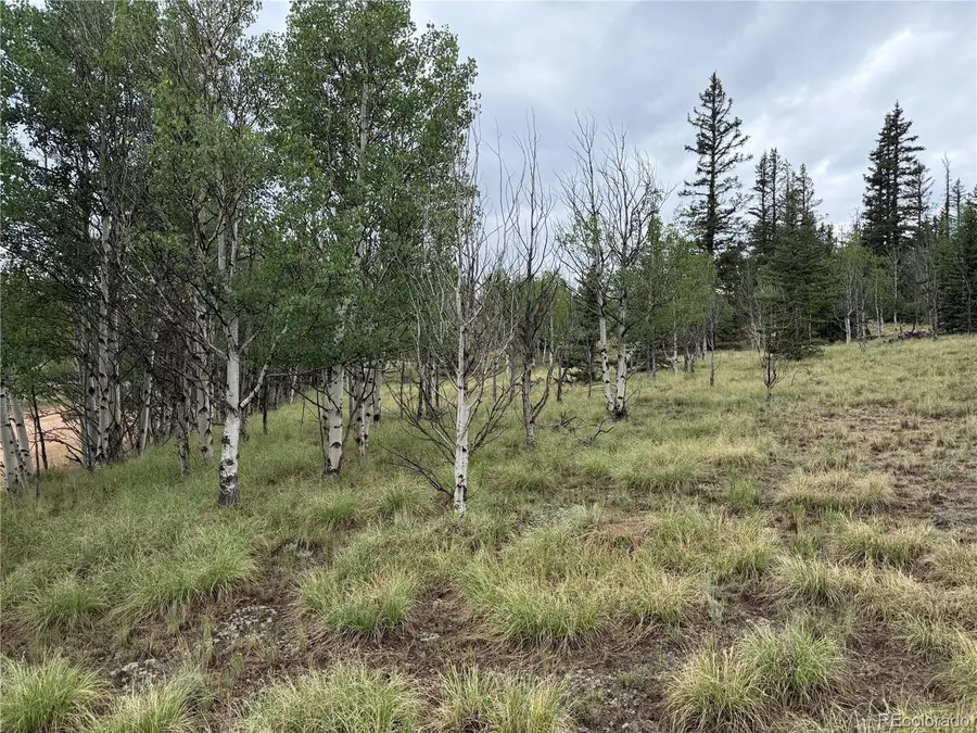 383 Spearpoint, Como, CO 80456 - #2