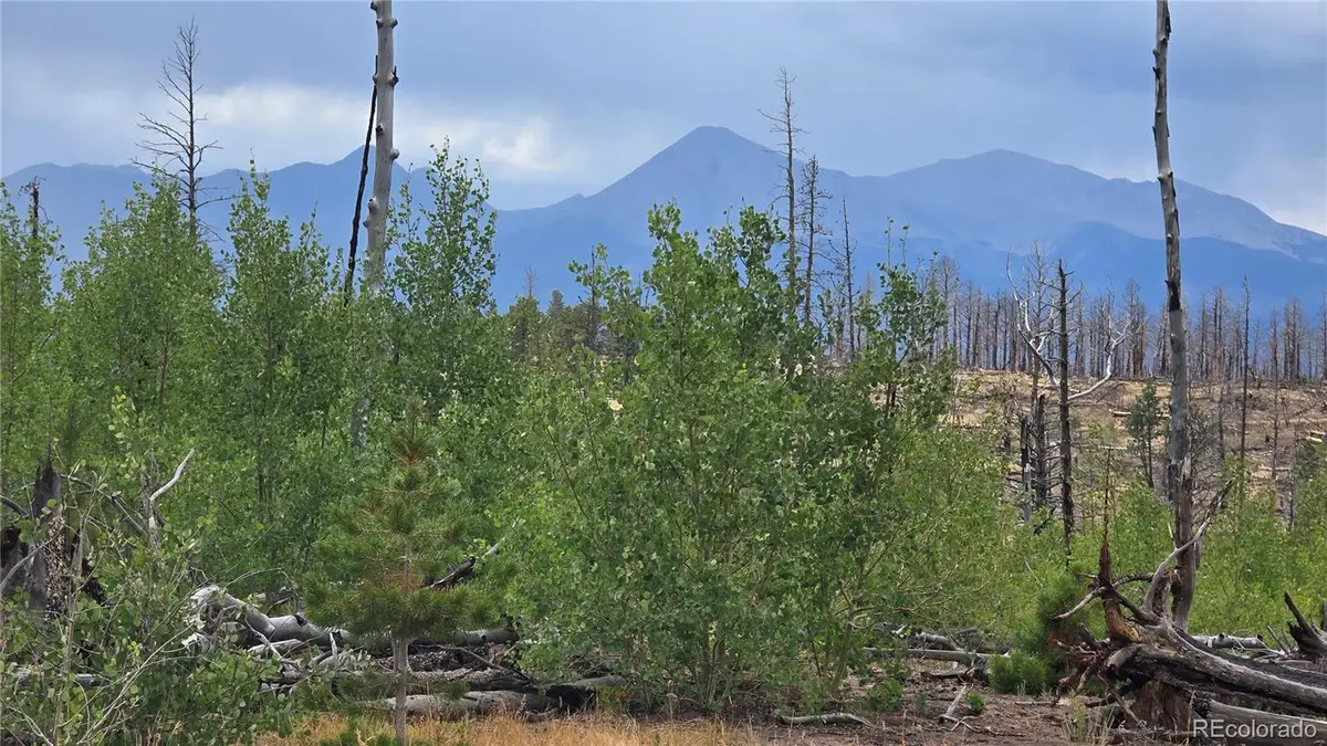 Lot 1177 Bechtel Place, Fort Garland, CO 81133 - #1