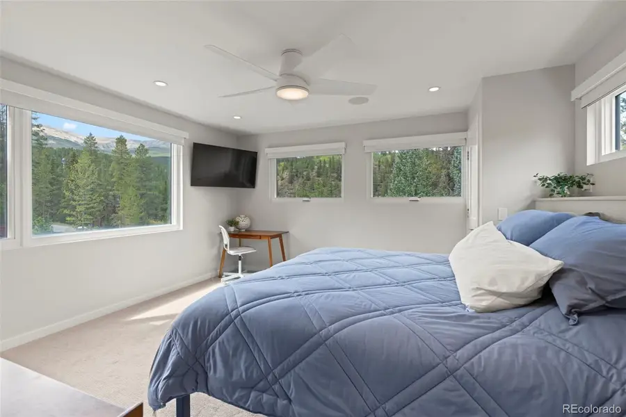 28 Greenwood, Breckenridge, CO 80424 - #2