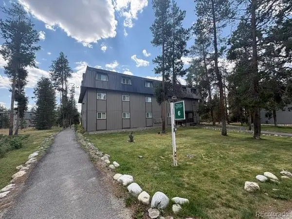 471 Hi Country Drive #166, Winter Park, CO 80482
