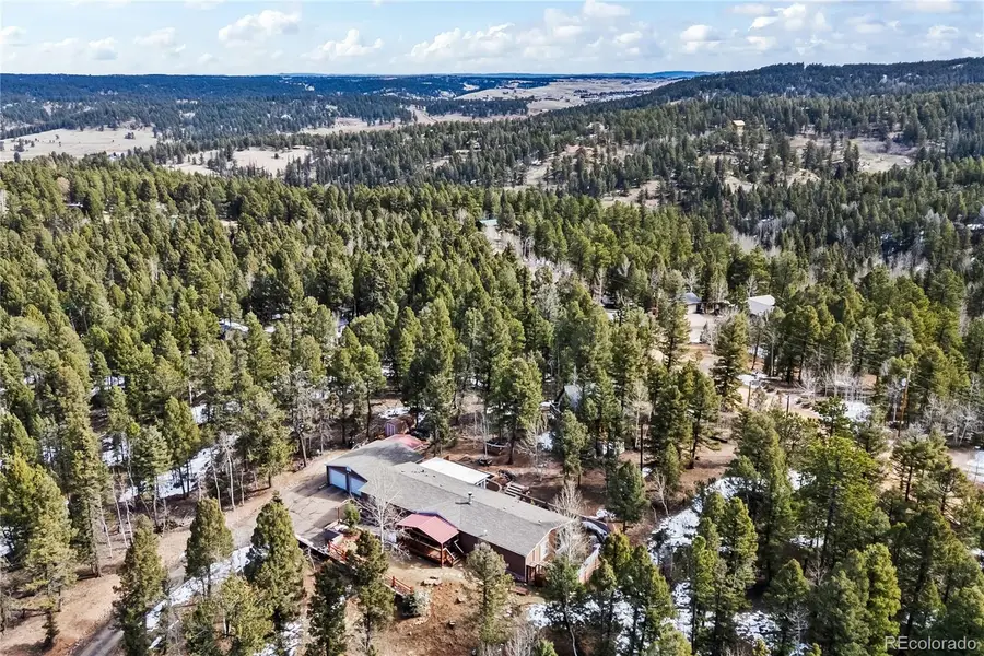146 Kokwapy Court, Florissant, CO 80816 - #3