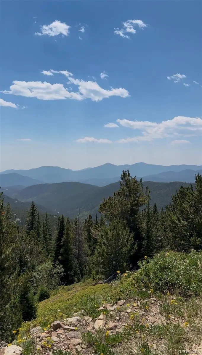 1 Nebraska Circle, Idaho Springs, CO 80452 - #1