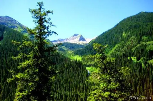 111 Forest Service Rd 752.3b, Gunnison, CO 81231 - #2