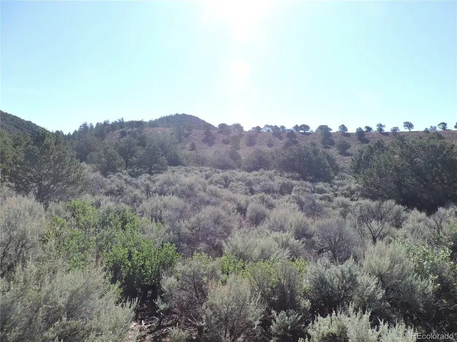 Lot 7563 Dolder Road, Fort Garland, CO 81133 - #2