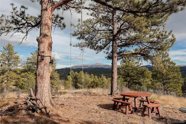000 Twinkle Road, Guffey, CO 80820