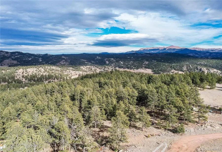 000 Twinkle Road, Guffey, CO 80820 - #3