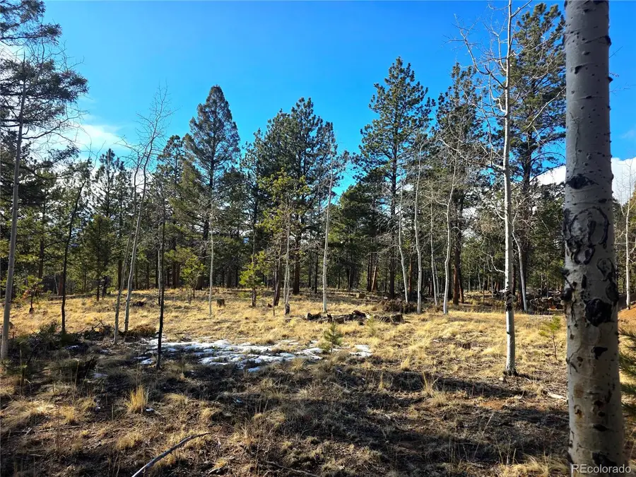 2063 Vagabond Creek Drive, Lake George, CO 80827 - #3