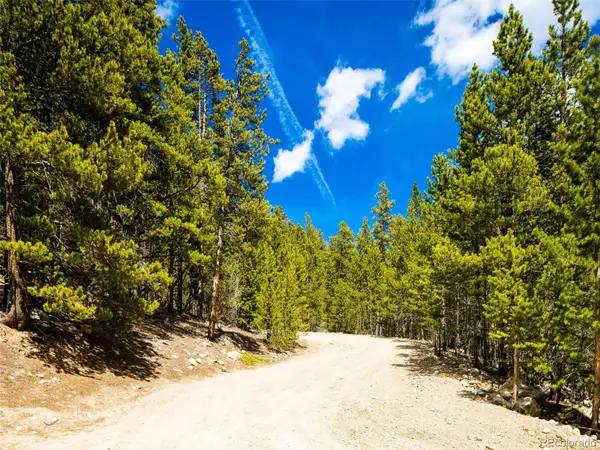 9 Rainbow Road, Idaho Springs, CO 80452