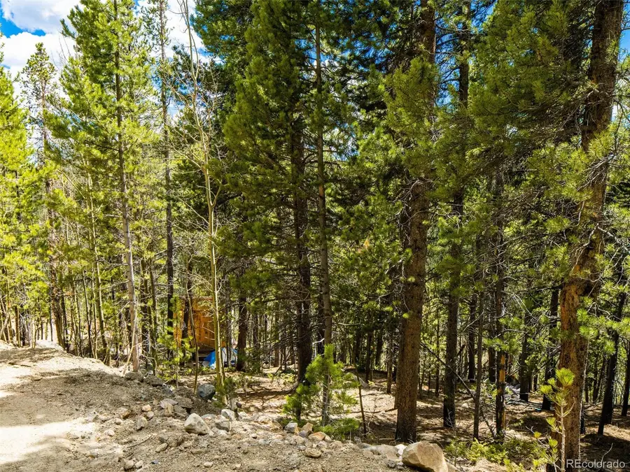 9 Rainbow Road, Idaho Springs, CO 80452 - #2