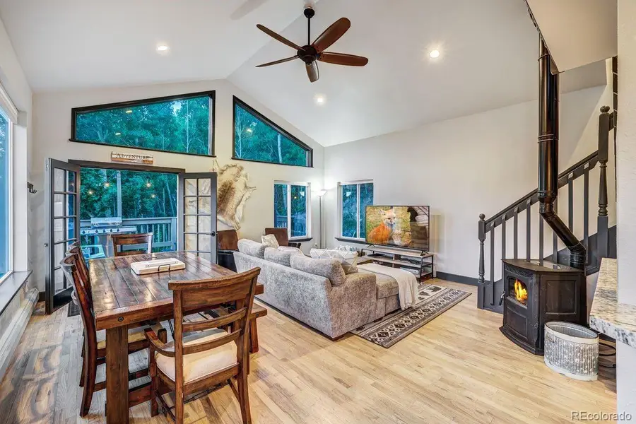 1095 Quartzville Road, Alma, CO 80440 - #2