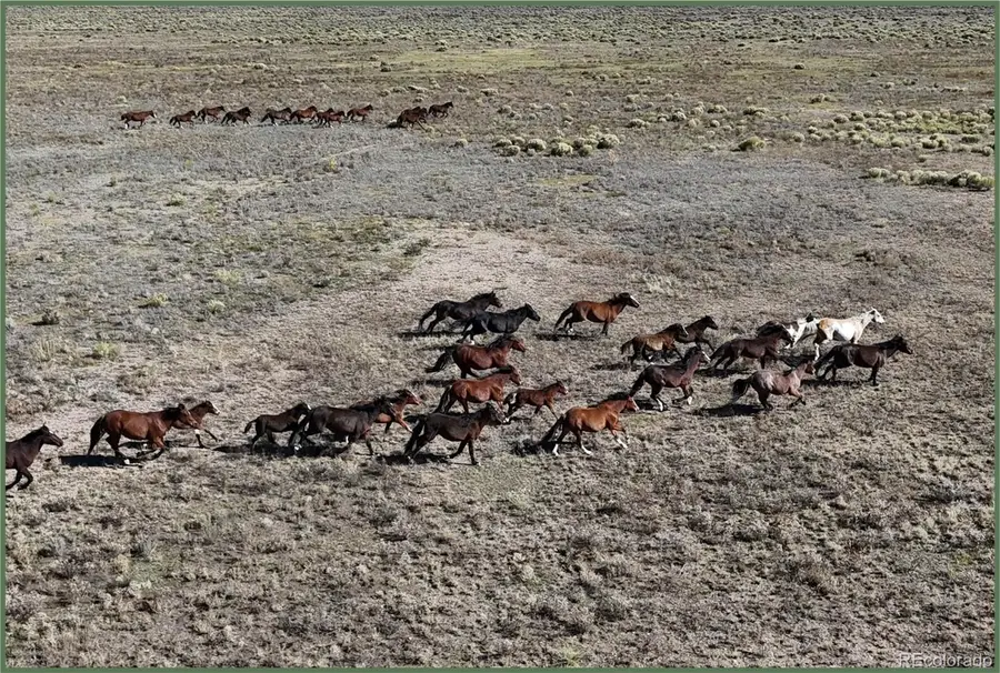 777 N 285 Hwy, Saguache, CO 81149 - Image #2