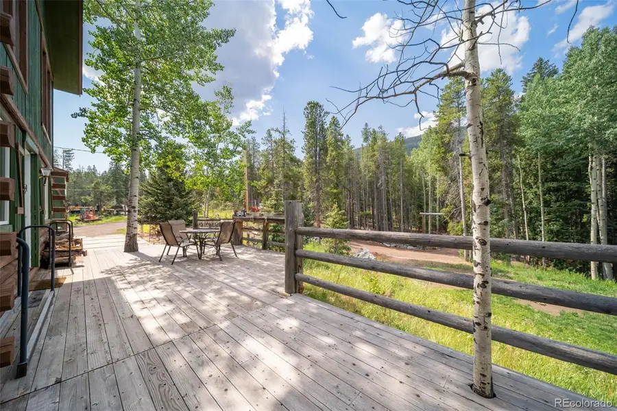 8774 Spring Drive, Conifer, CO 80433 - #2