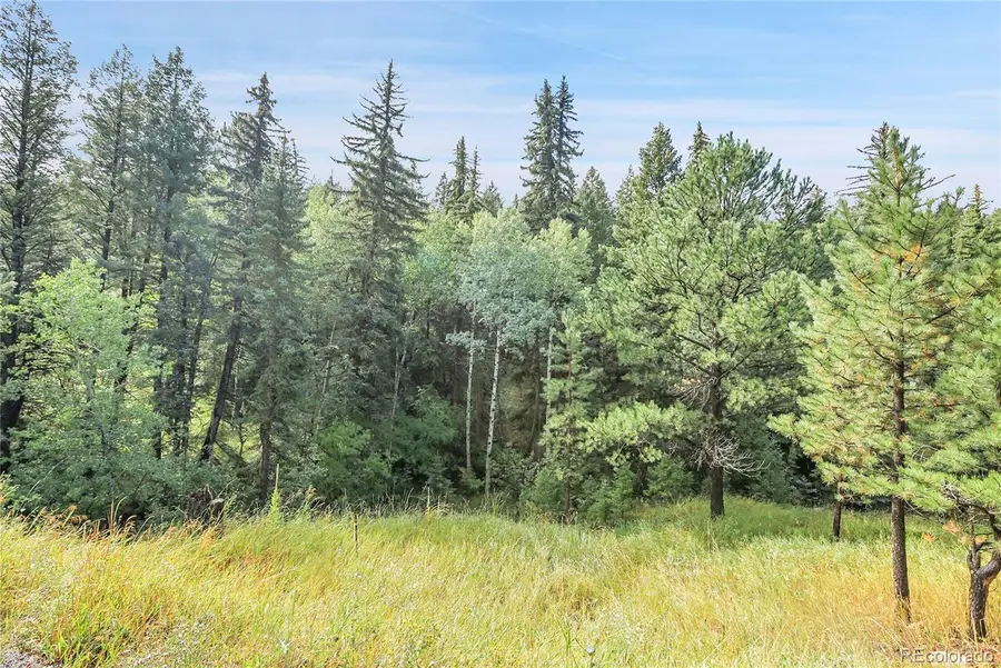 Tbd Mountain Park Road, Evergreen, CO 80439 - Image #2