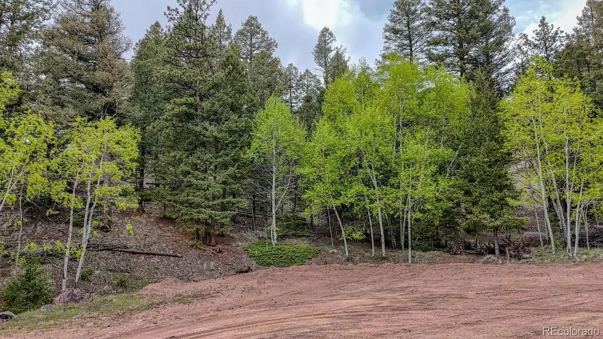 918 Pinon Lane, Florissant, CO 80816 - Image #1