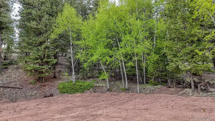 918 Pinon Lane, Florissant, CO 80816 - Image #3