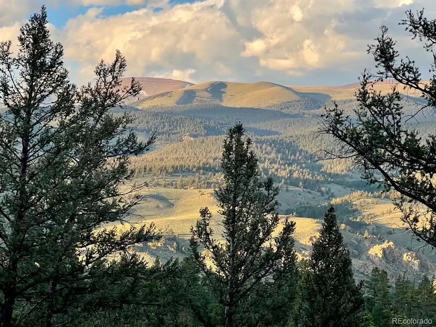 640 Edward E Hill Drive, Twin Lakes, CO 81251 - #3