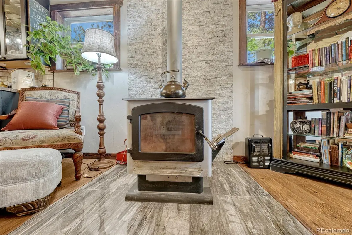 133 Brown Street, Bailey, CO 80421 - #1