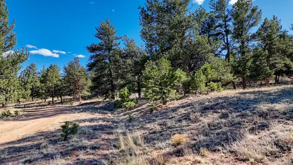 L5124 Arikara Trail, Hartsel, CO 80449