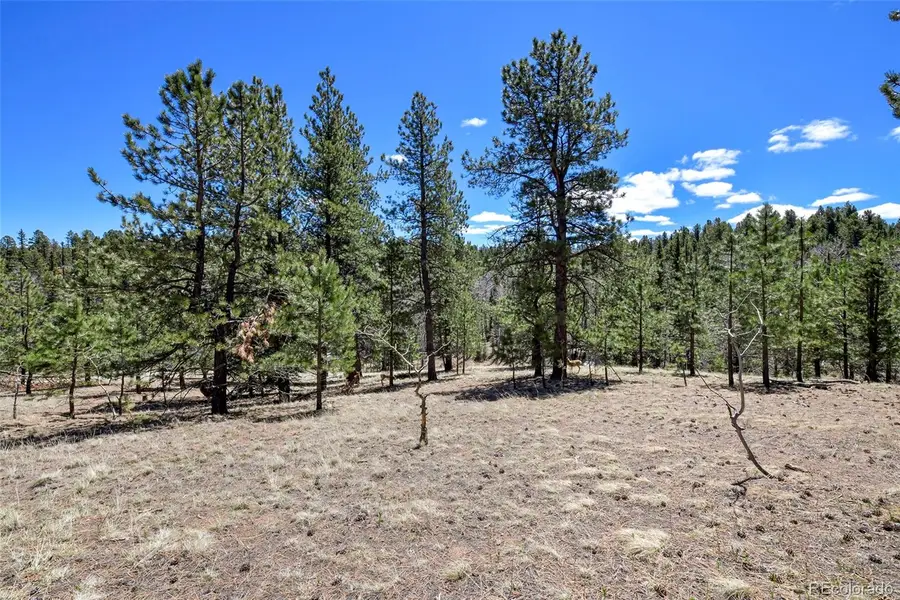 112 Blue Jay Lane, Florissant, CO 80816 - Image #3