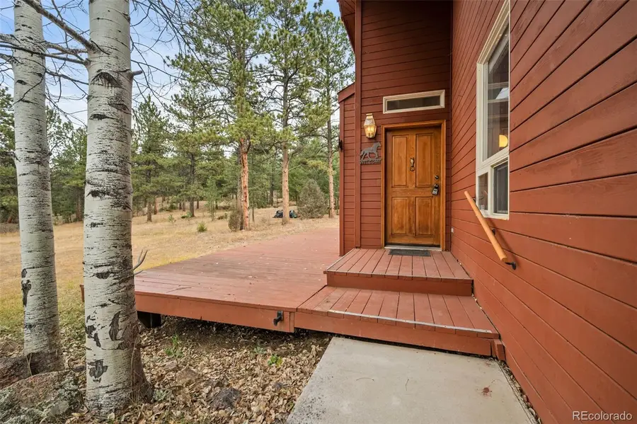 20202 Spring Creek Trail, South Jefferson, CO 80433 - Image #3