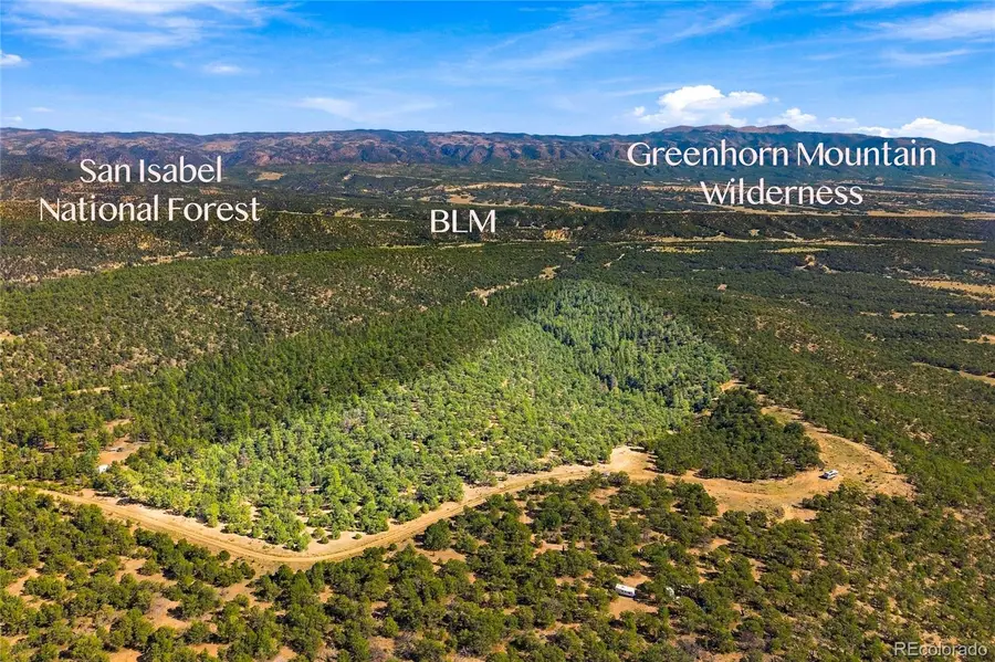Milligan Ranch Lot 4, Gardner, CO 81040 - #2