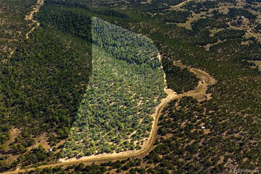 Milligan Ranch Lot 4, Gardner, CO 81040 - #3